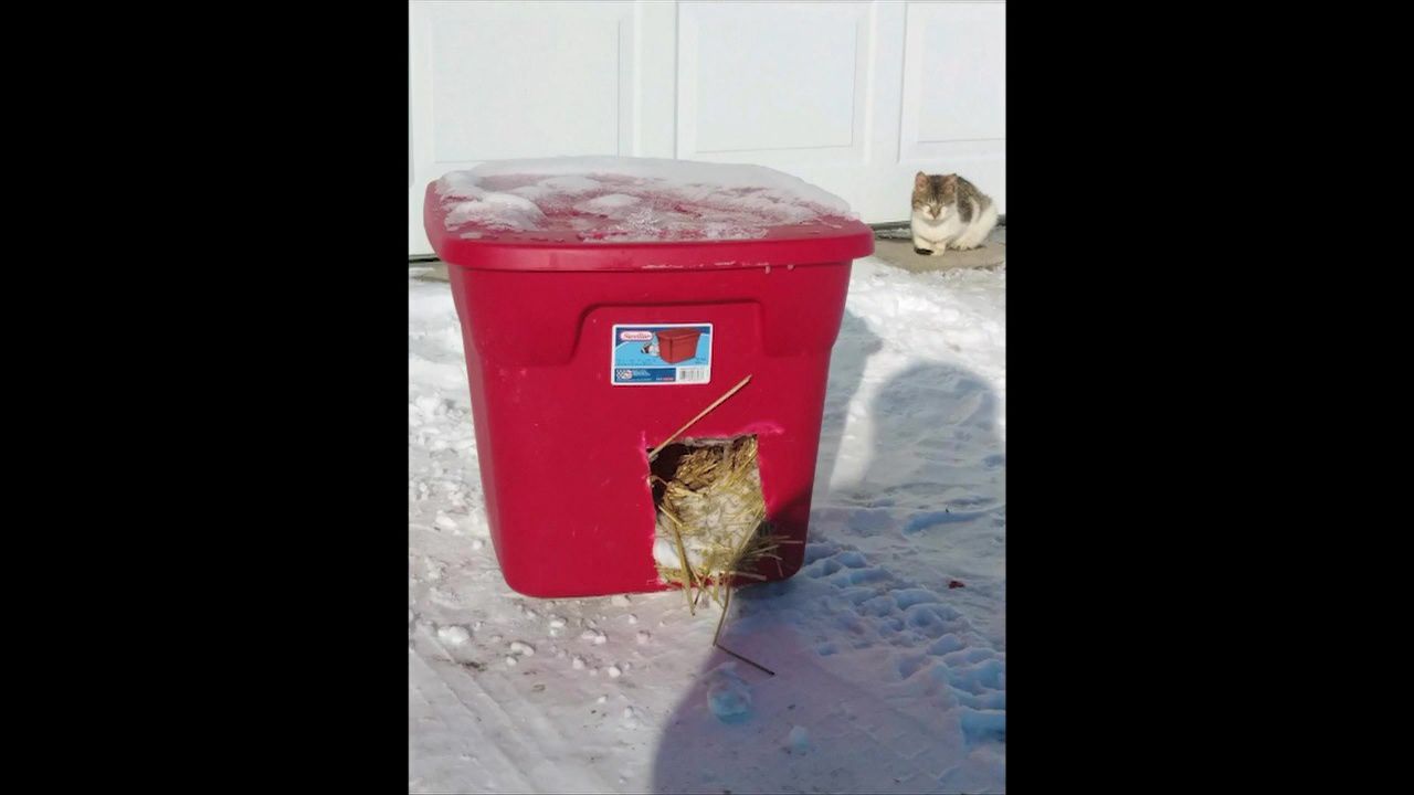 Pet safety in cold weather 2.jpg
